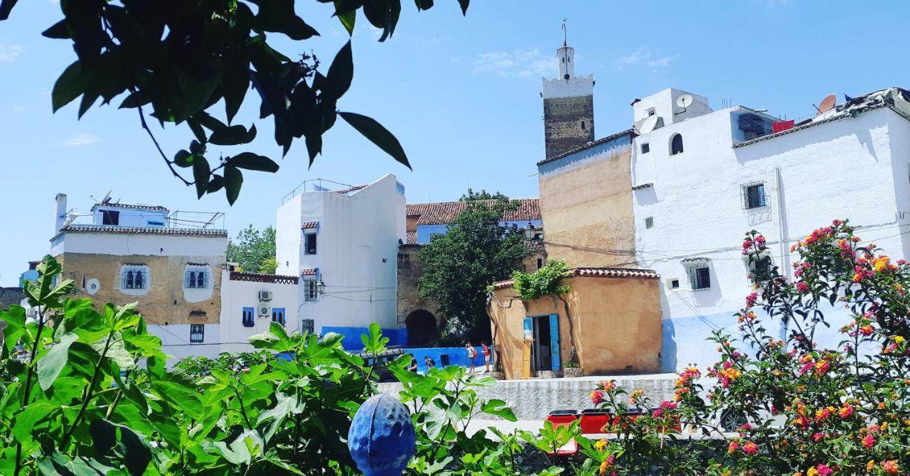 Bed and Breakfast Dar Essaouyry Шефшауэн Экстерьер фото